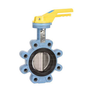 butterfly valve