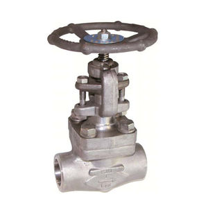 globe valve 1