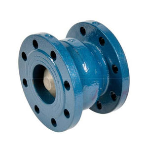 disc check valve 1