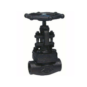 globe valve 1