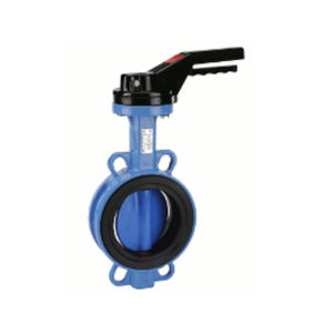 butterfly valve