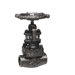 globe valve