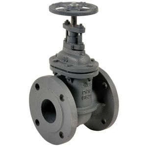 gate valve