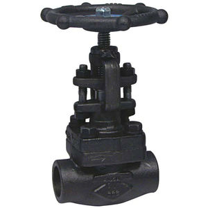globe valve