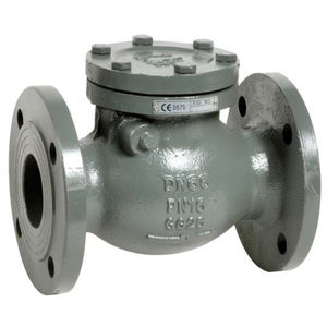 swing check valve 1