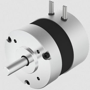 brushless motor 1