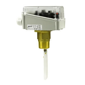 paddle flow switch 1