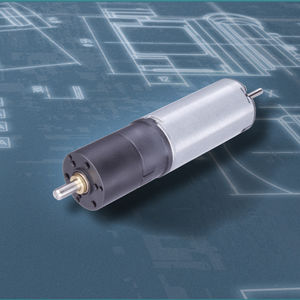 DC gear-motor