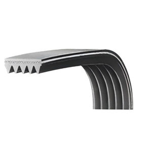 ribbed belt 1