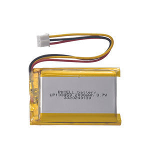lithium-polymer rechargeable battery