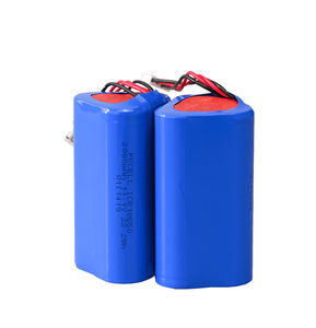 lithium-ion battery