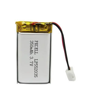 lithium-polymer rechargeable battery