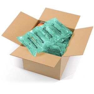 biodegradable air cushion protective packaging