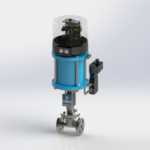 globe valve