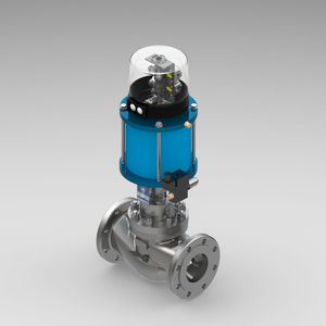 globe valve 1