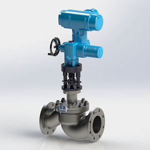 globe valve
