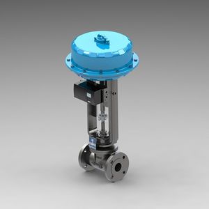 globe valve 1