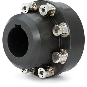 flexible coupling 1