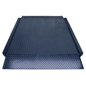 带有独立指示器的称重秤