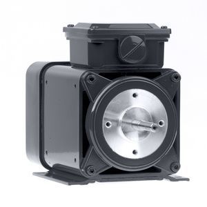 asynchronous motor 1