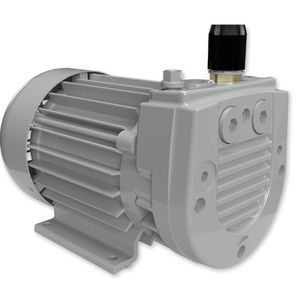 rotary vane compressor