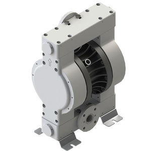double-diaphragm pump 1