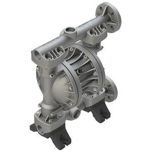 double-diaphragm pump 1