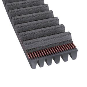 timing belt / ribbed / rubber