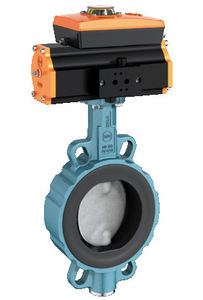 butterfly valve