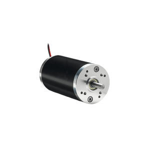 brushed motor