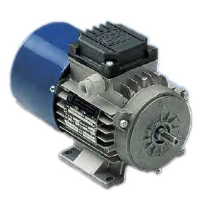 AC brake motor