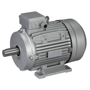 three-phase motor