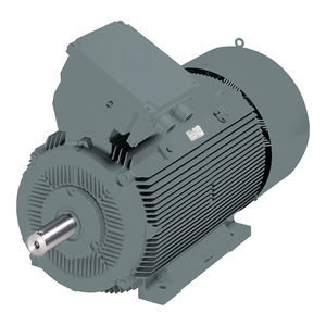 three-phase motor