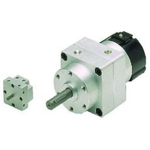 rotary cylinder / pneumatic / double-acting