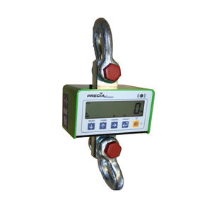 digital crane scale 1