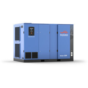 screw compressor 1