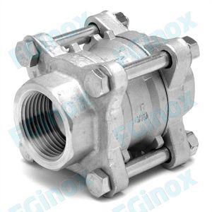 female check valve 1