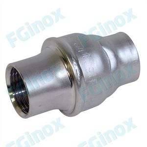 stainless steel check valve