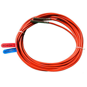 Pt100 temperature probe 1