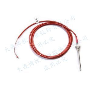 Pt100 temperature probe 1