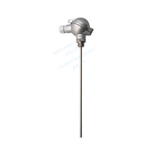 RTD temperature probe 1