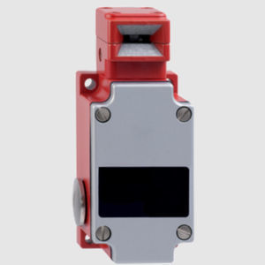 multipole switch 1