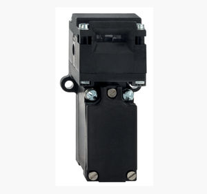 multipole switch 1