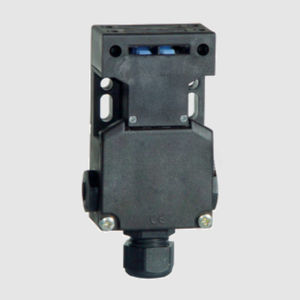 multipole switch 1