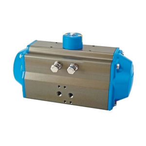 pneumatic actuator
