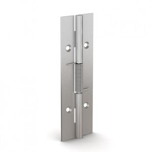 spring hinge