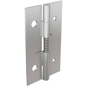 spring hinge 1