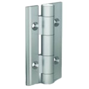 spring hinge 1