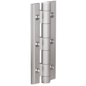 spring hinge 1