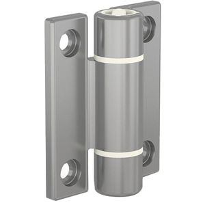 spring hinge